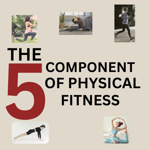 what is the 5 components of physical fitness